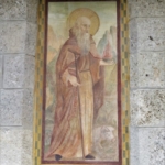 ovaro